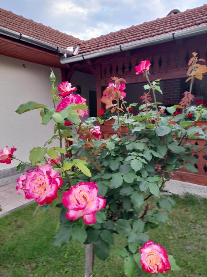 Casa Miki Hotell Haţeg Exteriör bild