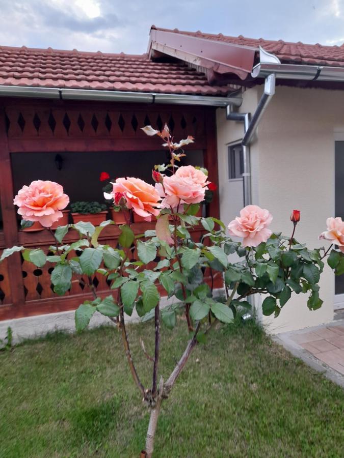 Casa Miki Hotell Haţeg Exteriör bild