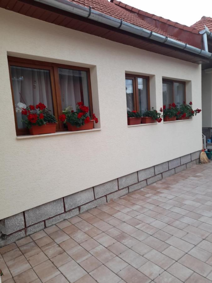 Casa Miki Hotell Haţeg Exteriör bild