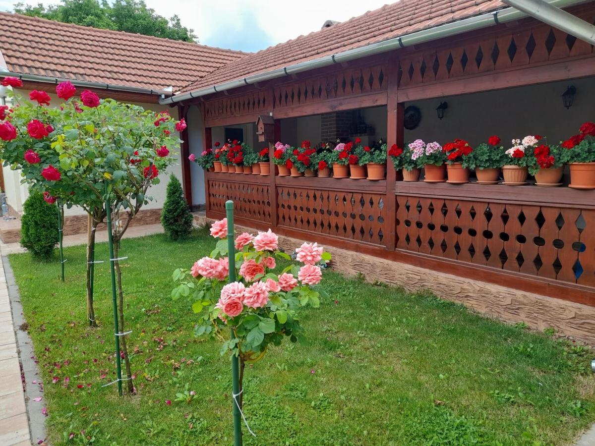 Casa Miki Hotell Haţeg Exteriör bild