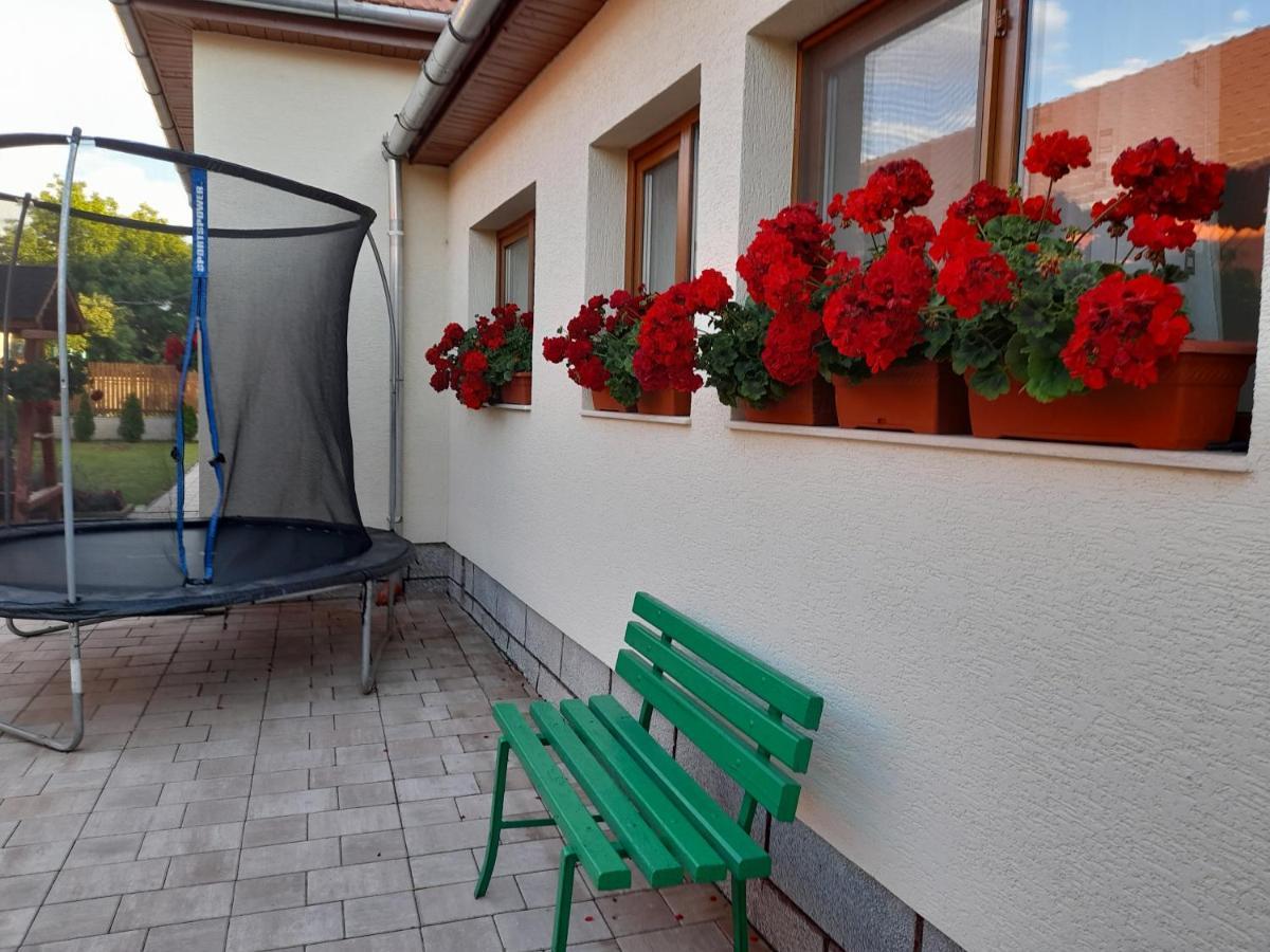 Casa Miki Hotell Haţeg Exteriör bild