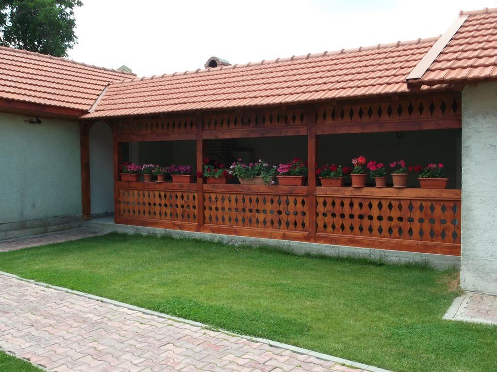 Casa Miki Hotell Haţeg Exteriör bild